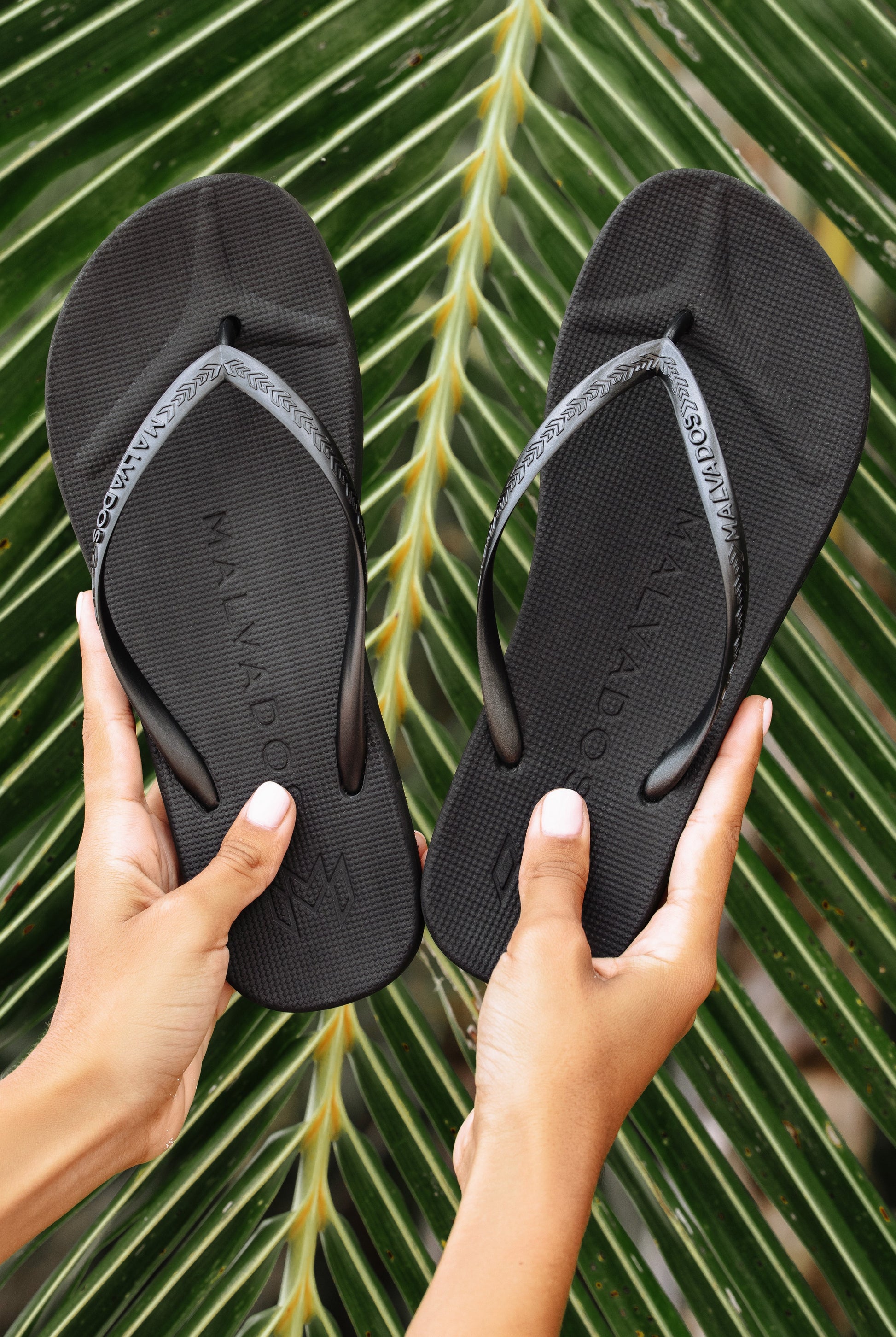 Two hands hold Malvados Playa Onyx Flip Flops in black above lush palm leaves, highlighting their contoured footbed and evoking a tropical, summery vibe.