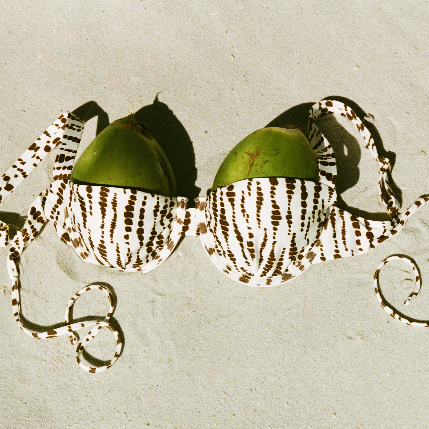 Two green fruits with decorative ribbons on a textured light background