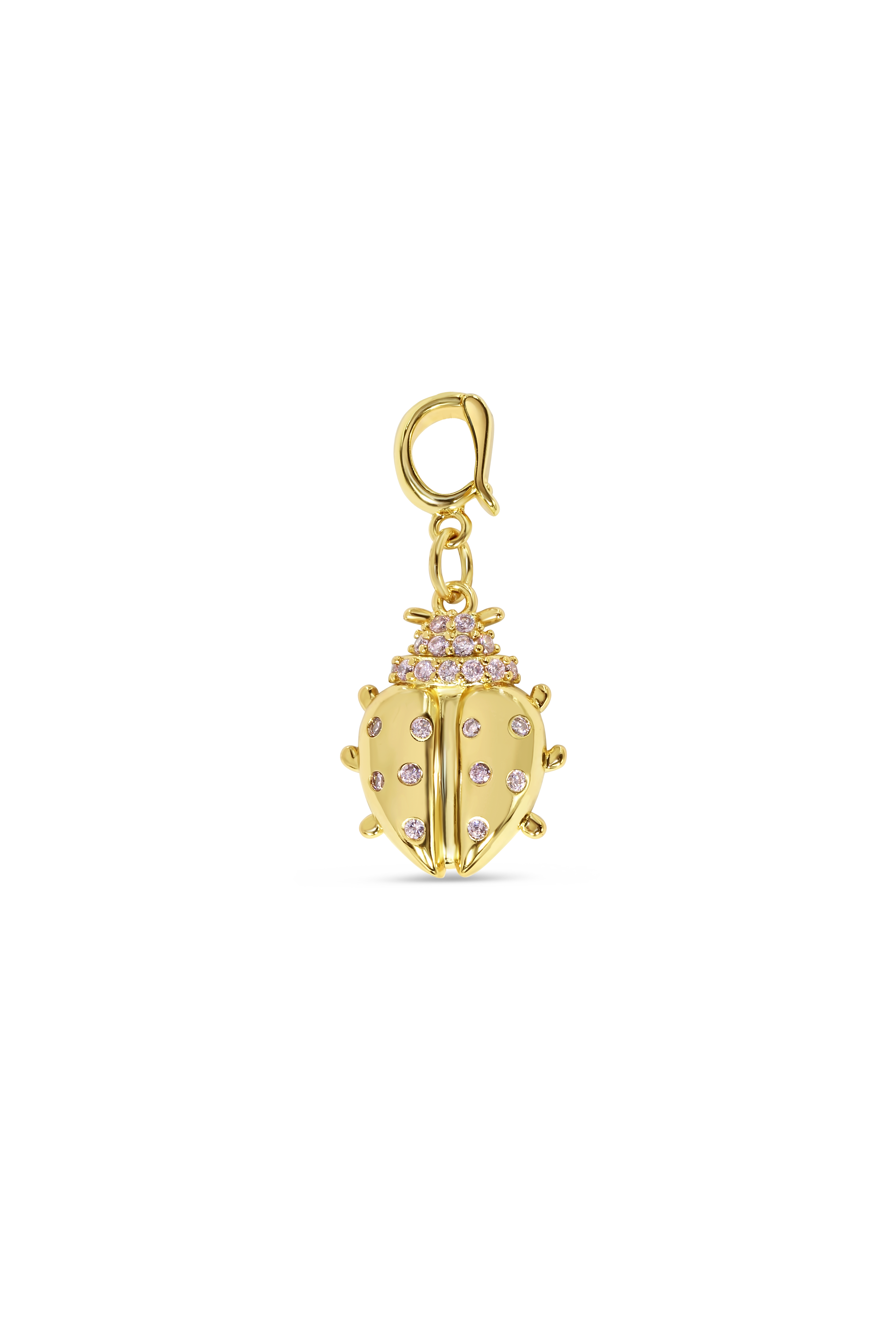 Ladybug Charm