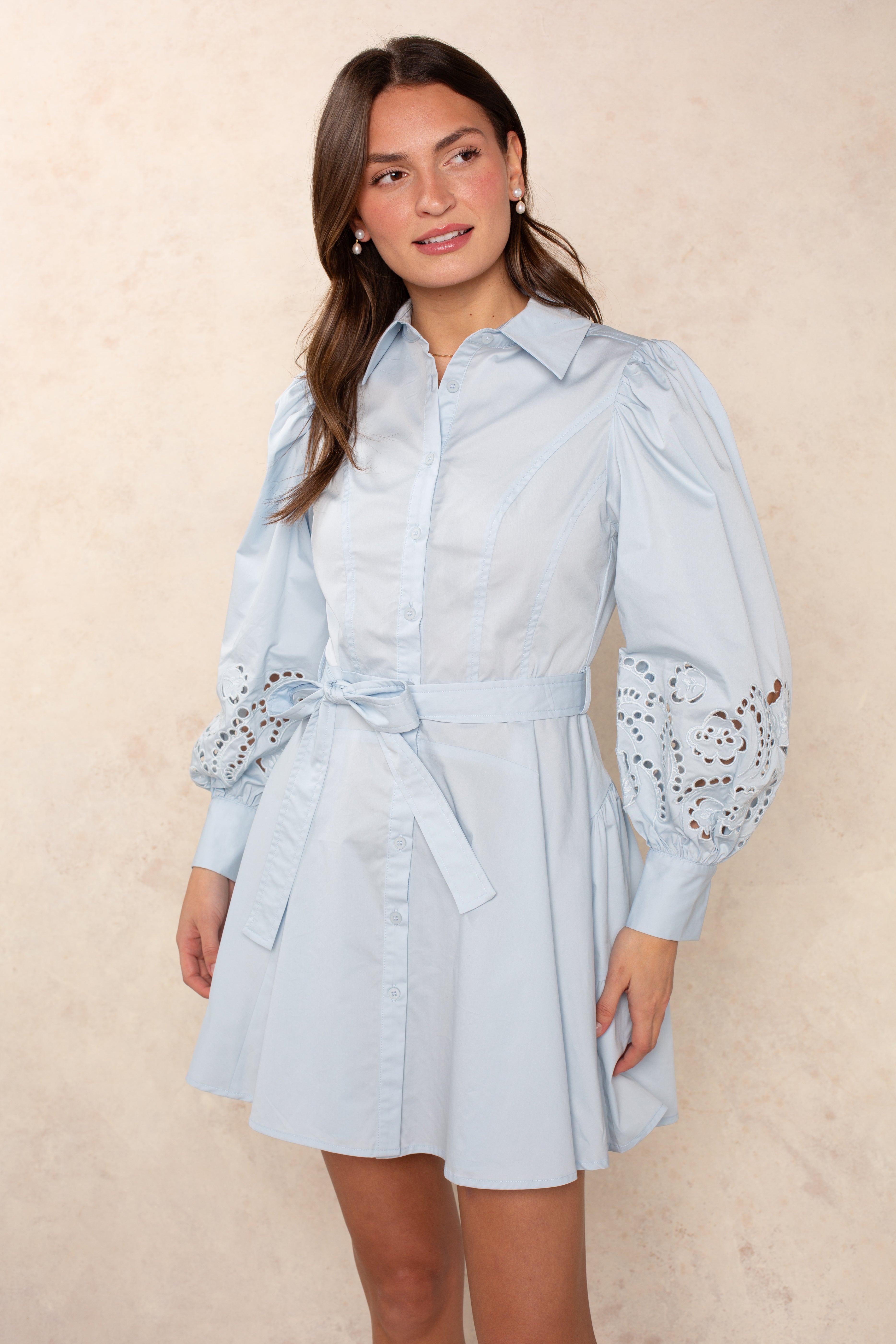 Madison Long Sleeve Mini Shirtdress