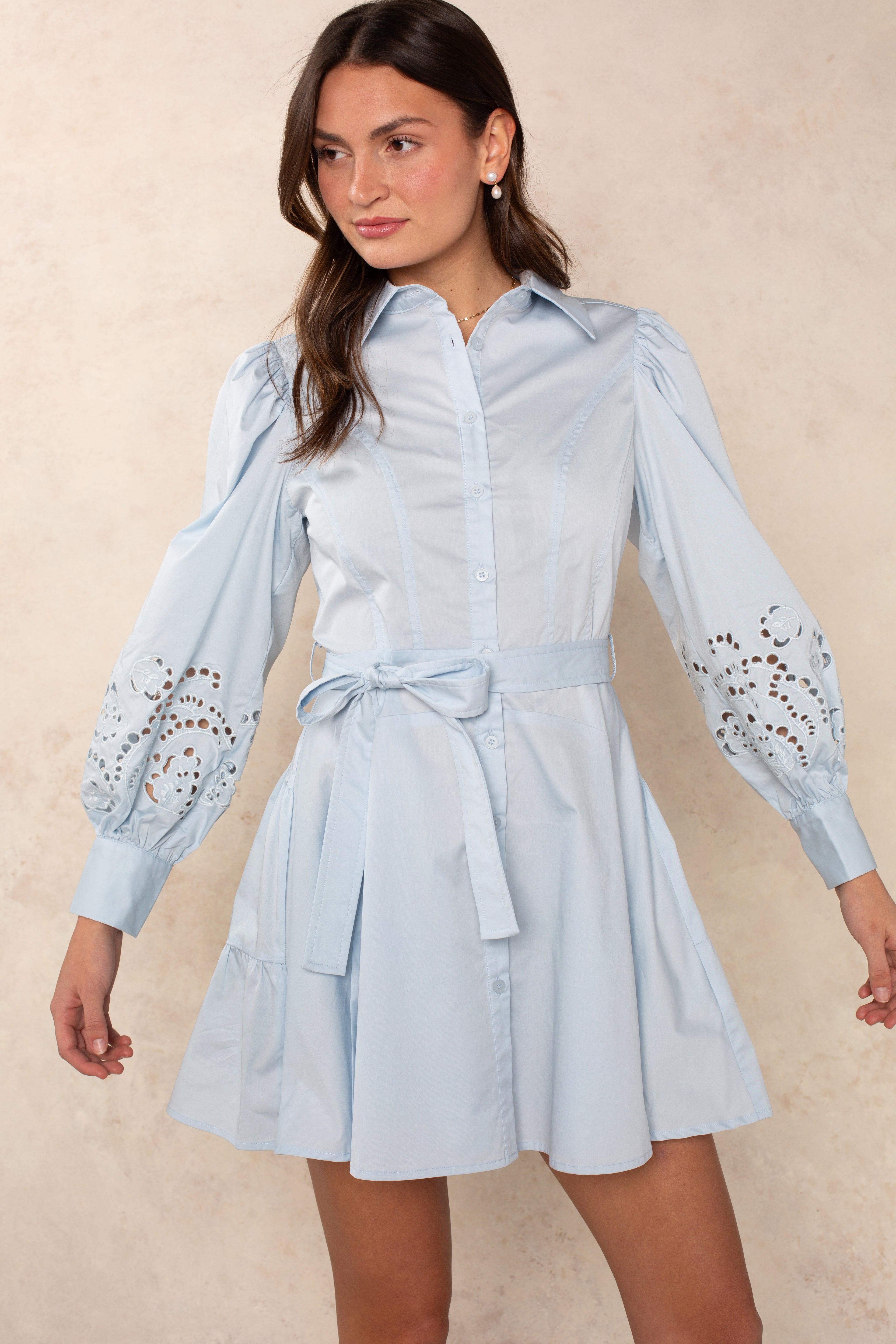 Madison Long Sleeve Mini Shirtdress