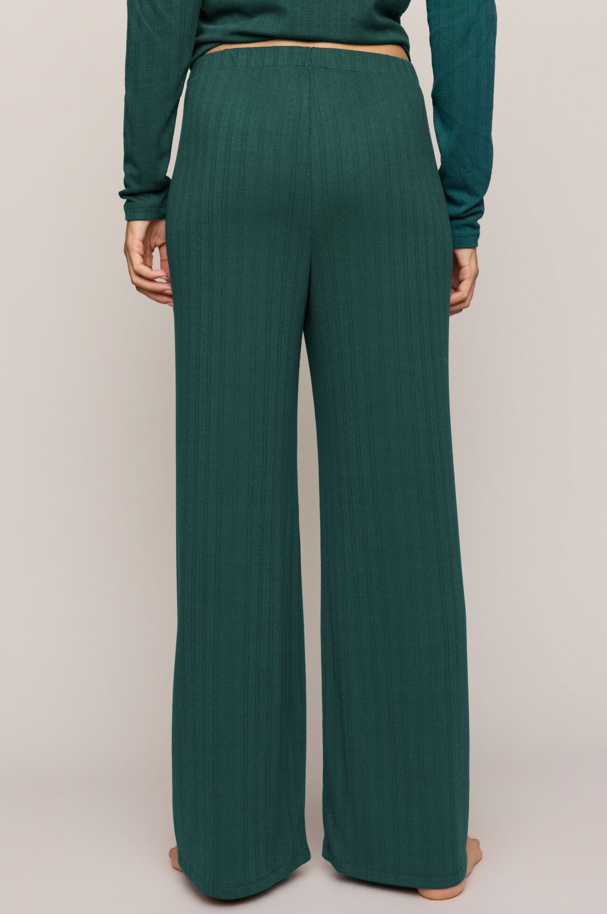 Aries Knit Pant In Velvet Green